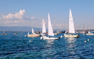 white sail boats on sea during daytime