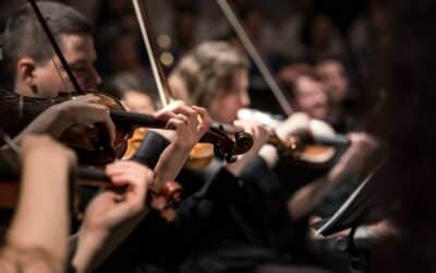 people playing violin inside dim room
